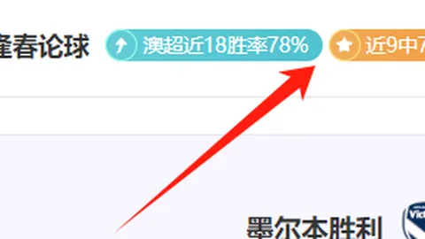 维罗纳0-2热那亚：维蒂尼亚制胜，厄斯蒂高再添光彩