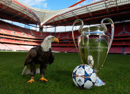 “马来西亚超级100羽毛球赛男单决赛，我国选手郑加恒惜败获亚军；游泳世界杯上海站，潘展乐200米自由泳止步预赛。”